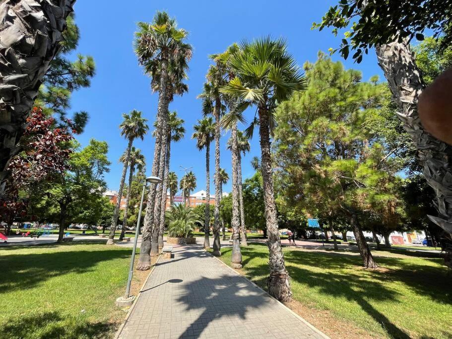 Apartmán Sol Y Playa Costa Blanca Torrevieja Exteriér fotografie